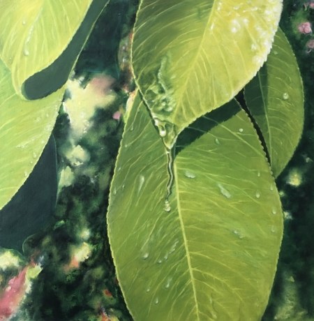 Delicacy 40x40cm